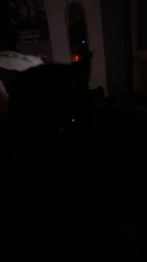 Update on my cat who wouldn’t come out of hiding for weeks and has bad anxiety