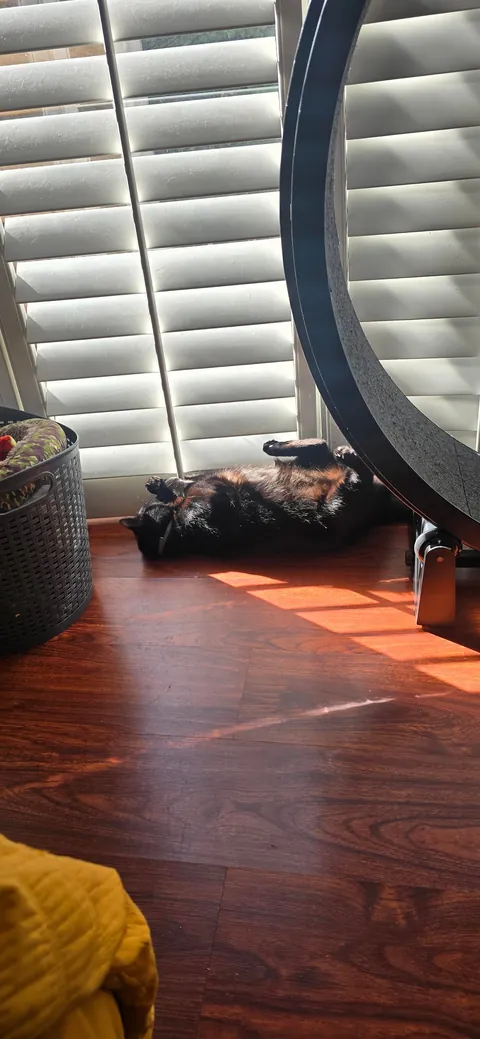 Its Friday the 13th!! Show me your Voids!!!