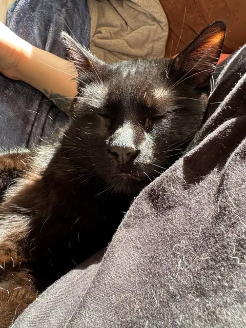 Why won’t he cuddle me anymore?
