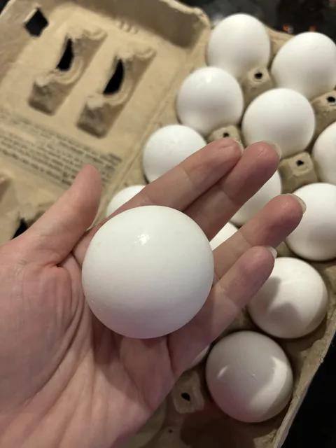 I found a round egg in my carton of eggs.