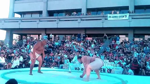 Sumo Slam