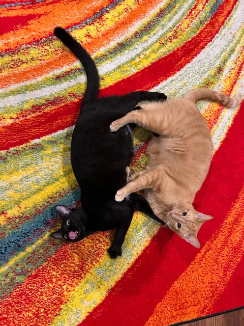 The posts on this sub led to this: