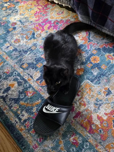 Wanted to show off my son