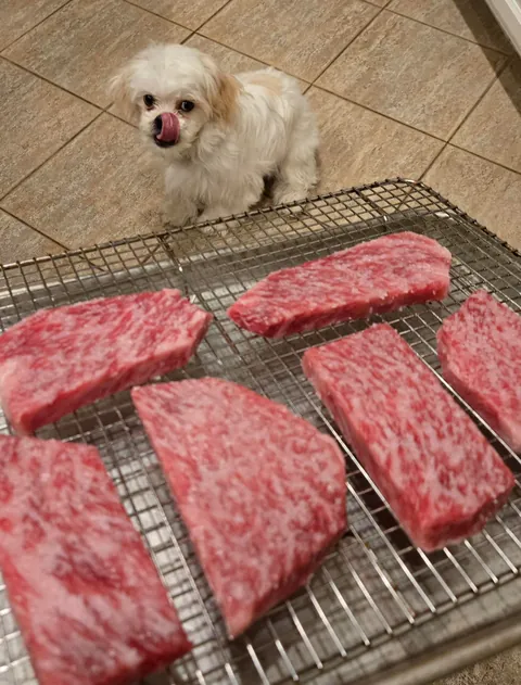 [Homemade] A5 ribeye pup approved