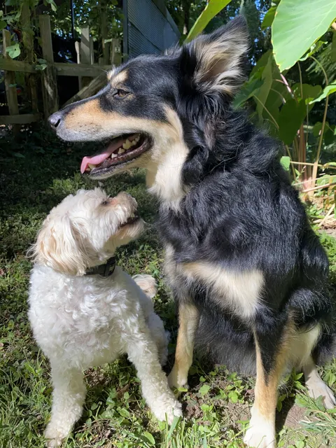 I pull out the camera and they immediately look away. Every time.