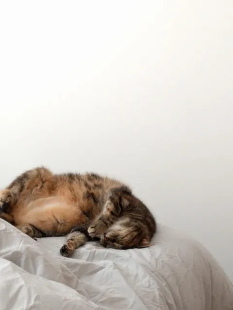 This girl turns 24 next month