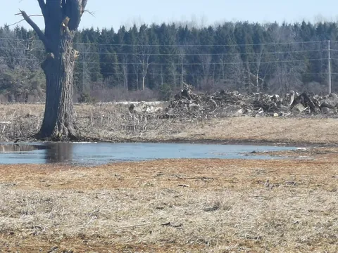 A local farmer destroyed a .5K stretch of river to make a corn field, right before spawning season. He didn't have permits