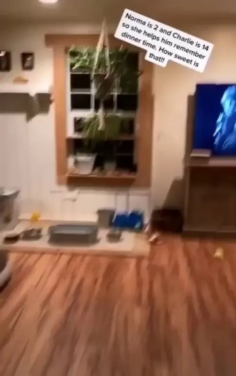 Norma, 2yo and Charlie, 14yo. Norma helps his older pal remember dinner time