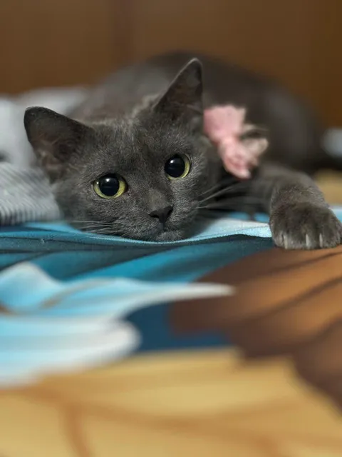 Found her outside the house