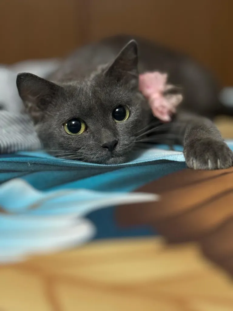 Found her outside the house