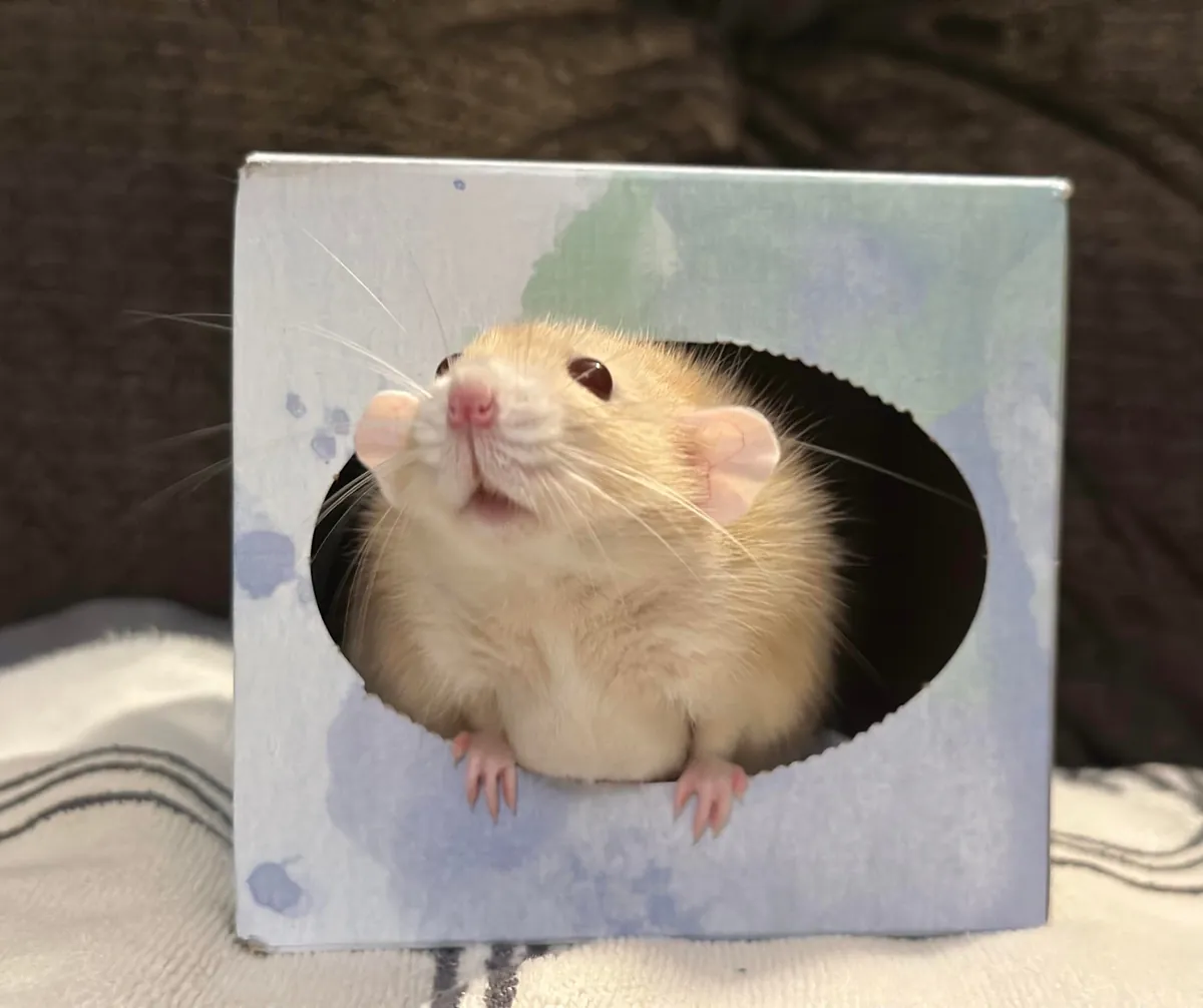 It’s Naga’s birthday! 🎉