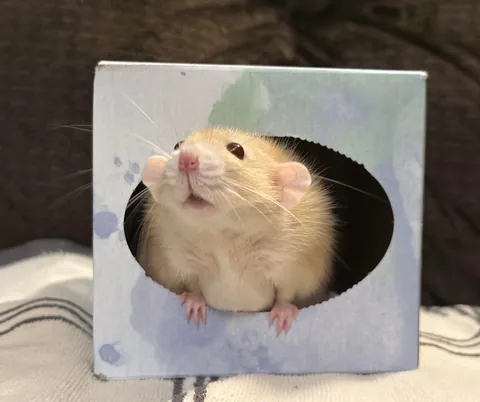 It’s Naga’s birthday! 🎉