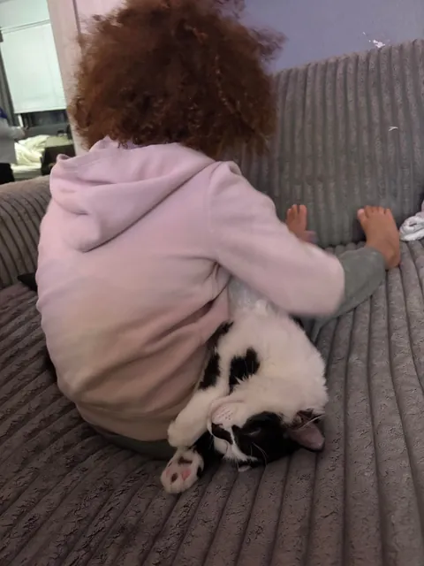 This is Dirtbag. We also call him Rudy. He just woke up after being neutered. He also just pissed all over himself. That’s my boy!!