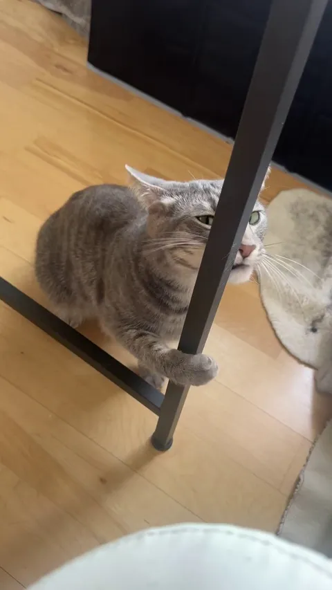 Is this normal behavior?