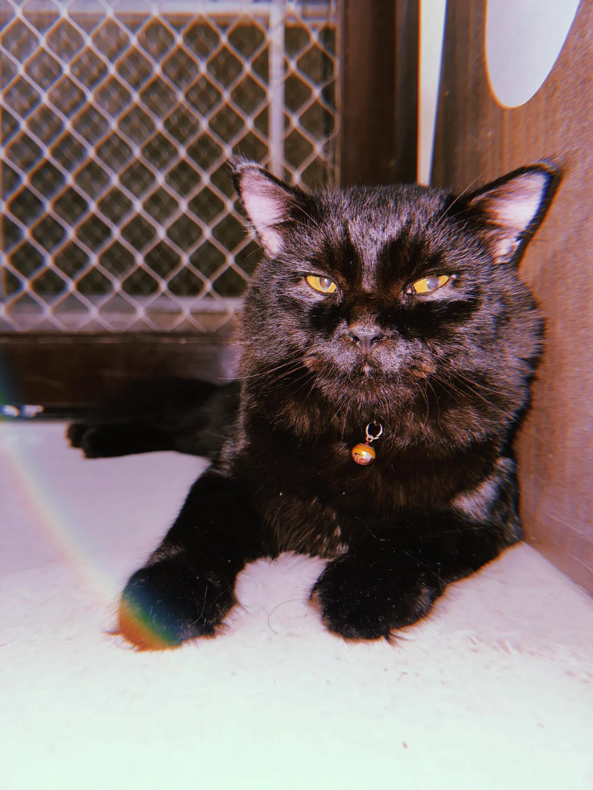 First Time Posting Him