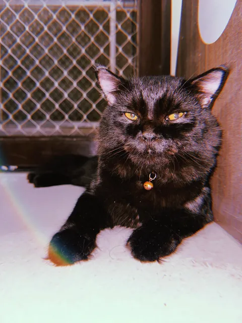 First Time Posting Him