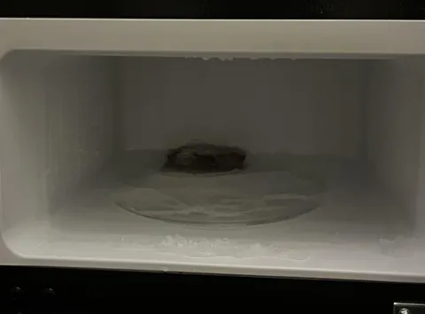 When I moved into my dorm room I couldn’t find the plate for my microwave… just discovered it’s in the freezer