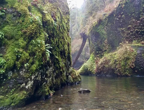 🔥Eagle Creek, Oregon