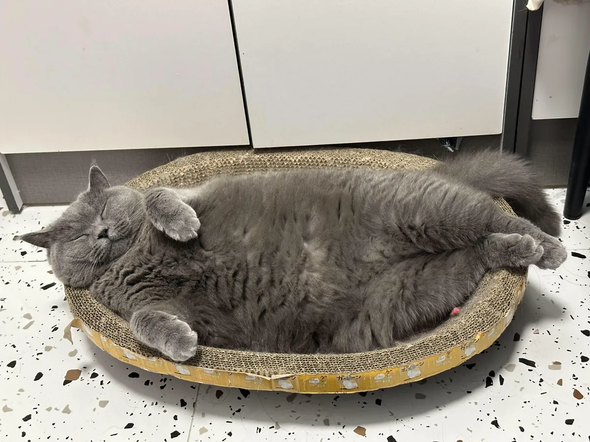 He needs a powerful name ☺️