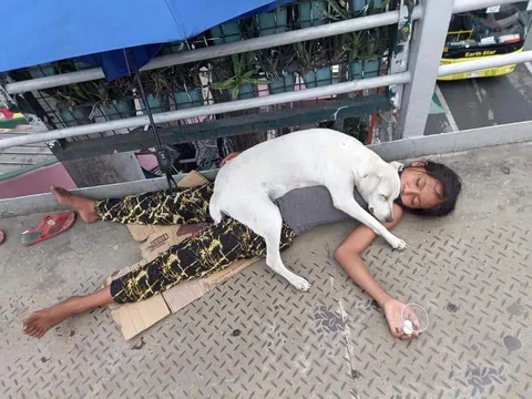 This image of a homeless child sleeping with her dog in Pasay City, Philippines touches the hearts of many. 11-year-old Renzy and her dog Princess.