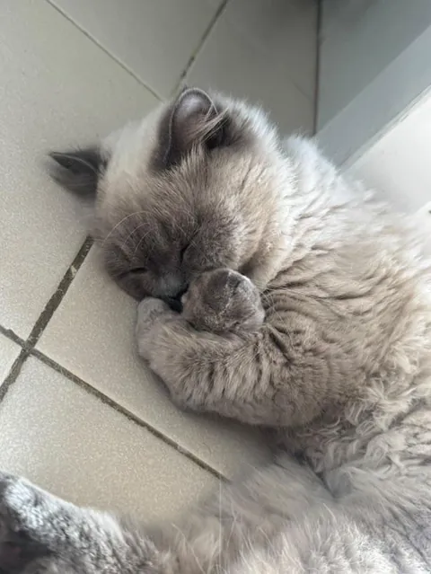 My baby’s cuddling himself🥹