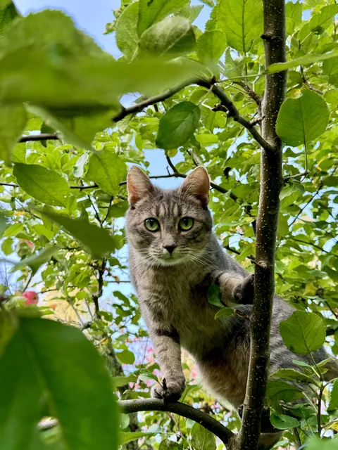 My favourite picture I have in my library 