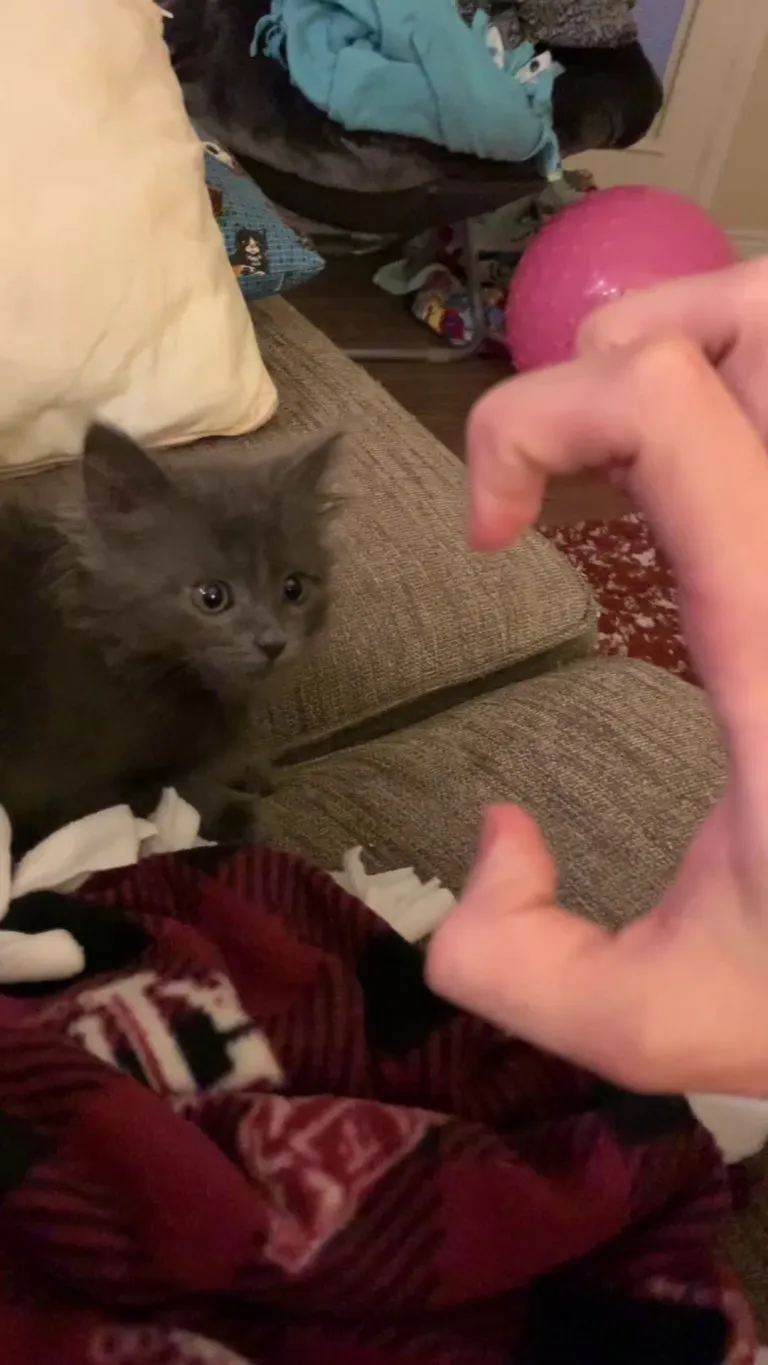 Some things never change