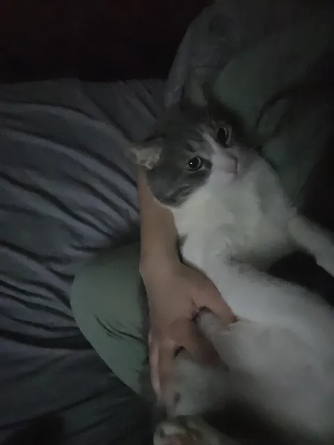 My first baby is gone