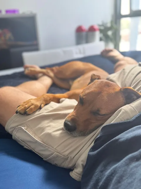 Hope Hector starts your weekend with a smile. And don’t forget to hug your fur babies