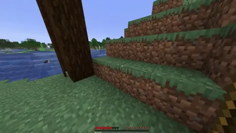 Is he hacking or did he get dolphins grace for a second like he said