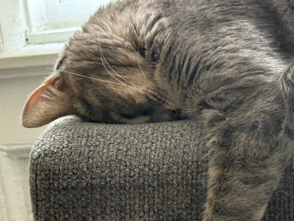 professional armrest cuddler