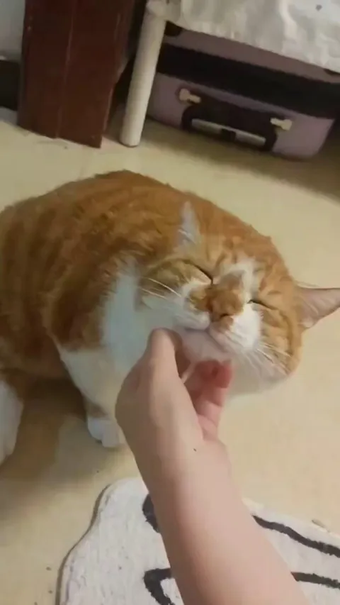 Oh yeah, that's the spot.