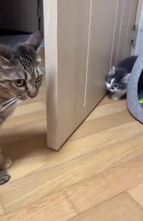 First Time Meeting ❤️