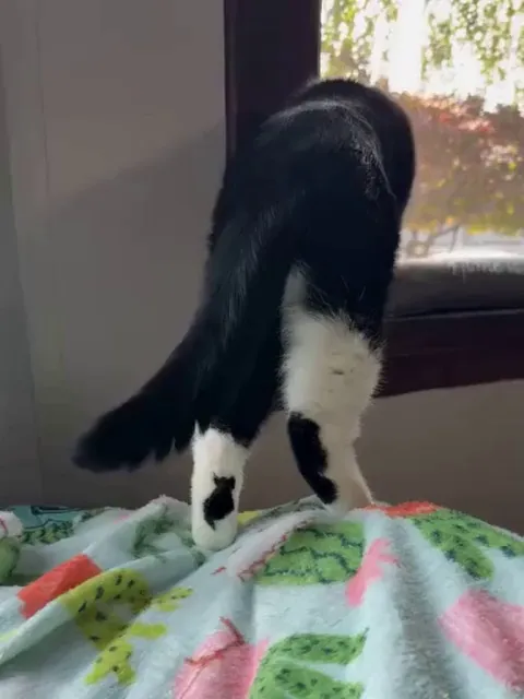 He has a tattoo of his ex.