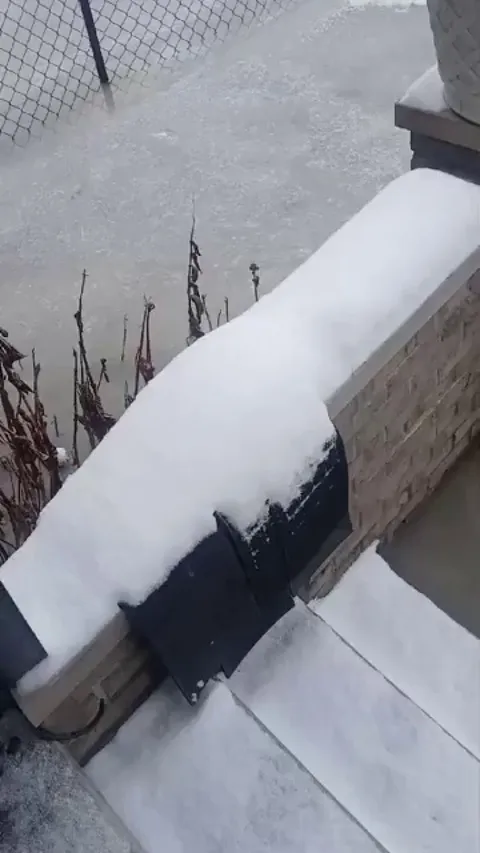 Detroit was flooded and it froze over night. Cars are stuck.