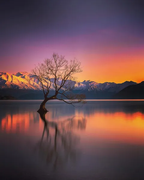 That Wanaka Tree, Wanaka - New Zealand [1350x1080][OC]