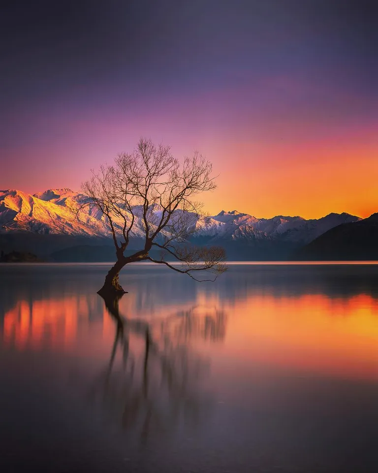 That Wanaka Tree, Wanaka - New Zealand [1350x1080][OC]