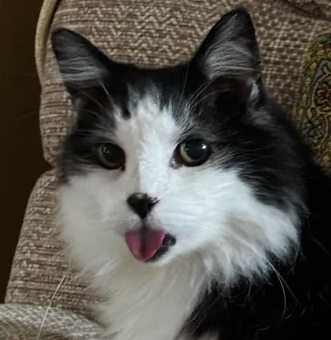 The ‘I woke up like this look’ - featuring 18 year old Wally