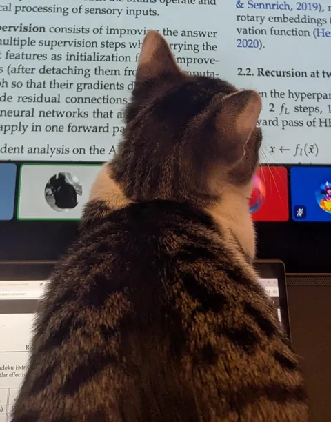 My Cat is Studying Machine Learning With Me