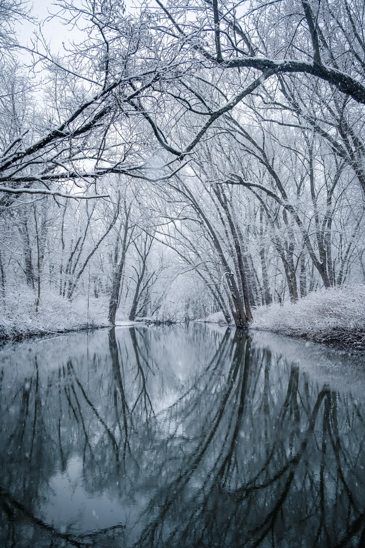 Pennsylvania Winter ❄️ [2000x3000] (oc)