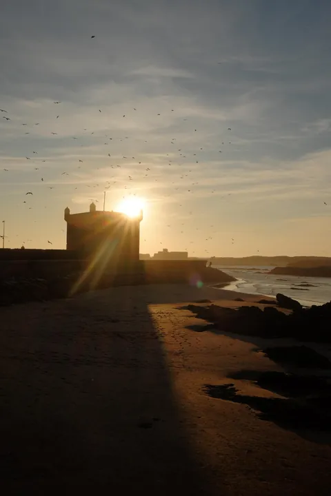 Some photos from my trip to Morocco!