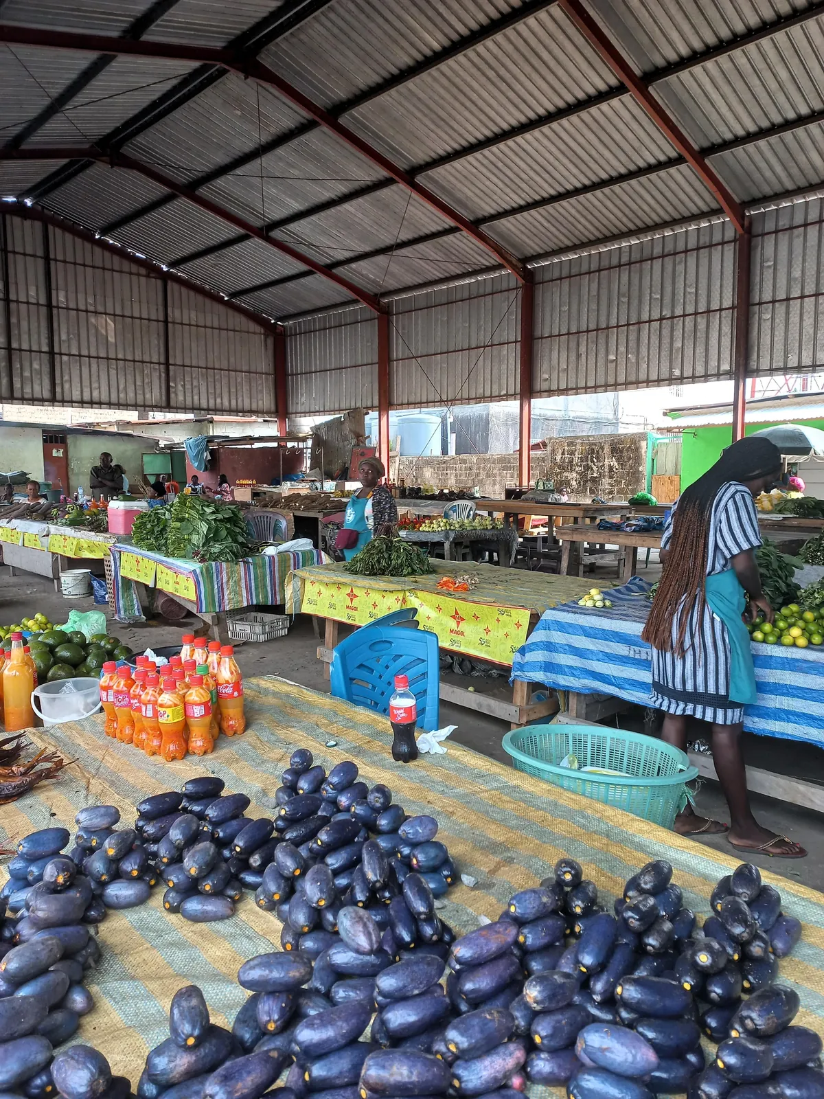 Pics from my two trips to Gabon in central Africa (Aug 2024&amp;2025)