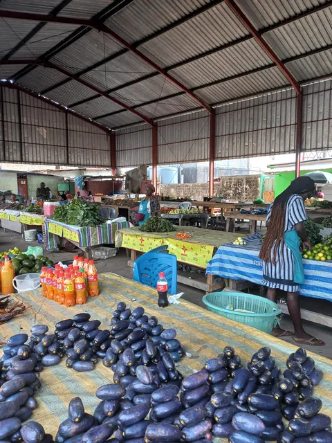 Pics from my two trips to Gabon in central Africa (Aug 2024&amp;2025)