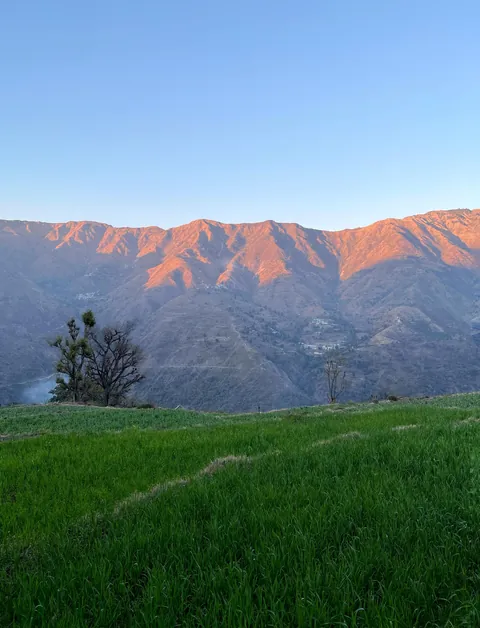 Scenes from my travels across India 🇮🇳