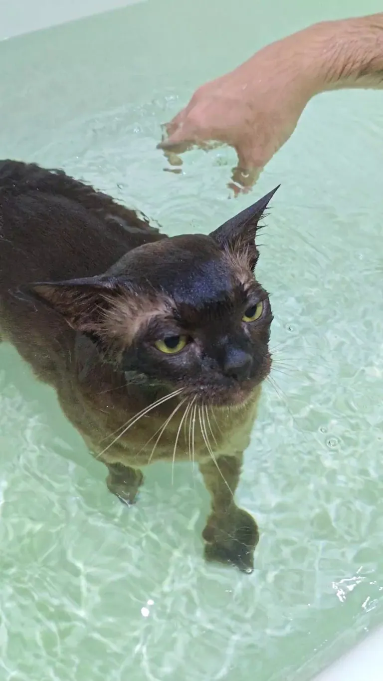 Hot bath after been cold, now relaxing