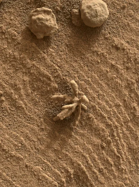 Curiosity Finds a Martian 'Flower'