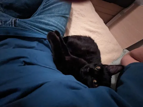 I'm overdue to share my baby, Nessa