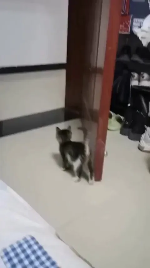 They are lucky to be alive