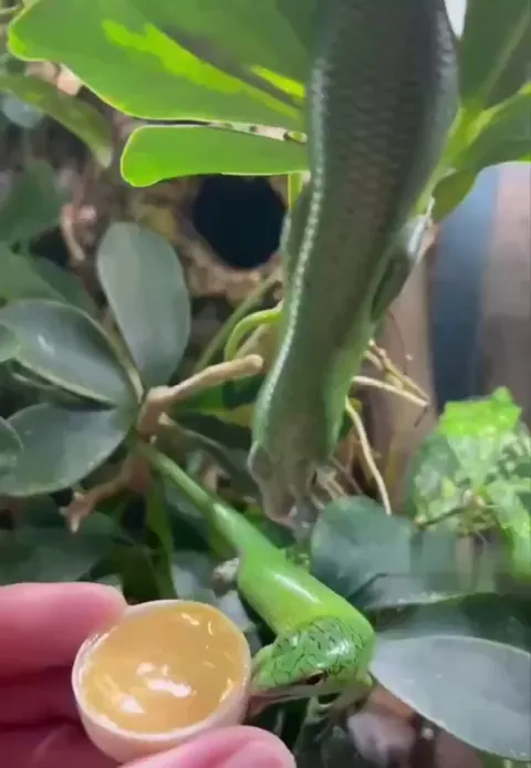 Until the end 😆😆