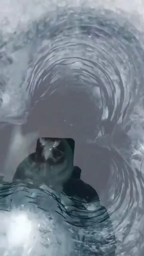 While this person photographing the Arctic Ocean, a seal came up to breathe.